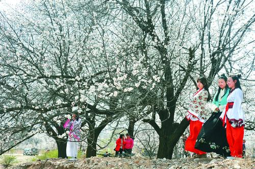 2026中超联赛免费直播